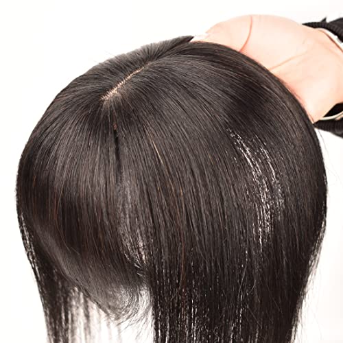 Toppers za ljudsku kosu za žene prava ljudska kosa 150% gustoća 8x12cm svilena baza sa šiškama kopča u komadima kose ravna ukosnica