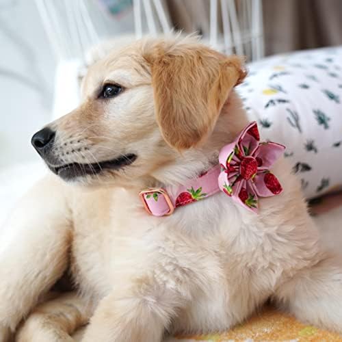 Kolač ogrlice od jagoda, podesivi odvojivi cvjetni ovratnik za štene Mali srednje velike pse, cvjetni ovratnik za djevojke